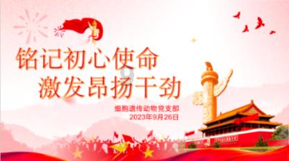 超级坦克联盟2
